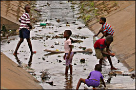 Segundo a OMS, poder&iacute;anse evitar 13.000.000 de mortes ao ano, mellorando o medio natural