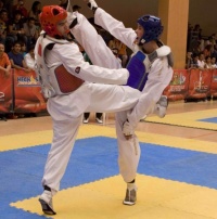 Os taekwondistas do pa&iacute;s seguen obcecados en mudar a patadas a xerarqu&iacute;a mundial