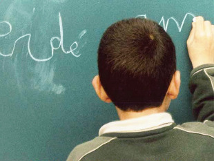 Os consellos escolares decidir&iacute;an en que materia se impartir&iacute;an a maior parte das materias