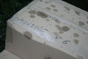 O equipo percorreu a apertura de foxas, principalmente no ver&aacute;n de 2007