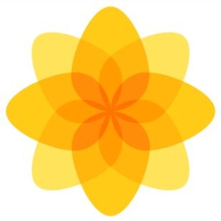 Emblema do Plaid Cymru