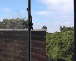 Tres imaxes tiradas polo propio Pag&aacute;n en Zimbabue