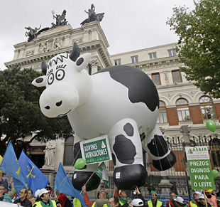 O dumping est&aacute; entre os problemas actuais do sector: a comercializaci&oacute;n de leite for&aacute;neo a prezos m&aacute;is baixos que o galego