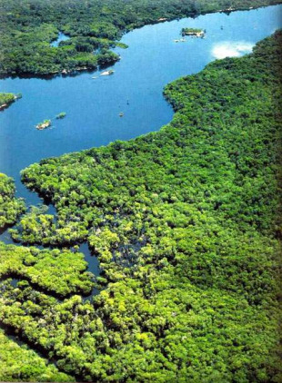 A Amazon&iacute;a vive nunha constante ameaza por mor do cambio clim&aacute;tico e pola deforestaci&oacute;n