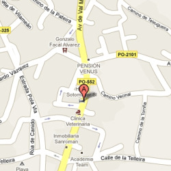 A sede do PPdeG est&aacute; situada na r&uacute;a Rosal&iacute;a de Castro