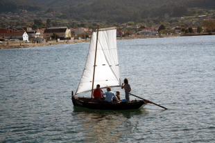 Estampas das bit&aacute;coras boudevara.blogspot.com e da FGCMF