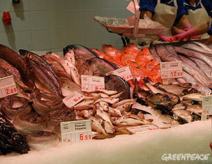 As embarcaci&oacute;ns de grande tonelaxe son as que m&aacute;is esquilman os mares e as que xeran m&aacute;is contaminaci&oacute;n