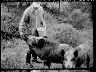 Un fotograma de 'Par&iacute;s#1'