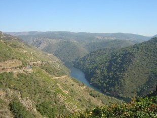 A Ribeira Sacra, berce do vi&ntilde;o de Amandi. / Foto: Oteo