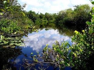 As agresi&oacute;ns m&aacute;is frecuentes son as derivadas dos recheos, piscifactor&iacute;as ou encoros, entre outras