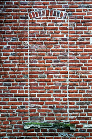 Bruxelas (B&eacute;lxica), Ce Tom&eacute;