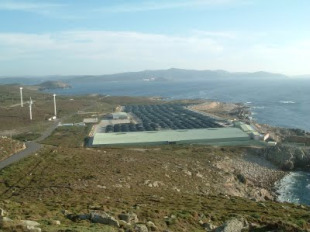 Pescanova &eacute; propietaria dunha boa parte das plantas acu&iacute;colas de Galiza