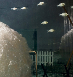 "Atrav&eacute;s", Meireles.