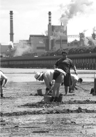 O complexo de Louriz&aacute;n na r&iacute;a de Pontevedra / Imaxe: Sara del R&iacute;o (Greenpeace)