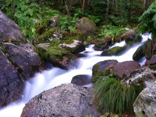 Exemplo de recuncho ameazado por minicentral en Mondo&ntilde;edo / Imaxe: Xos&eacute; Chao (Adega)
