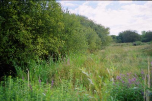 Contorno das Bra&ntilde;as de Dodro / Imaxe: Xunta de Galicia