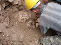 Imaxe da escavaci&oacute;n