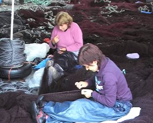 A Federaci&oacute;n cre que o colectivo ten moito futuro e exixen a dignificaci&oacute;n da profesi&oacute;n