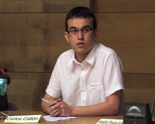 Carlos Call&oacute;n, Pte da Mesa