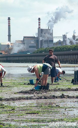 Unha imaxe da R&iacute;a de Pontevedra, con Elnosa ao fondo / Foto: Greenpeace
