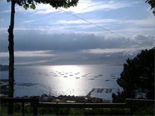 Bateas na R&iacute;a de Vigo