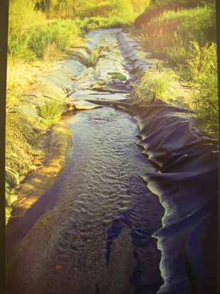 Imaxe ga&ntilde;adora do primeiro premio