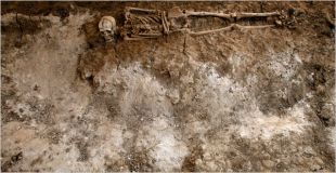 Restos atopados nunha foxa com&uacute;n