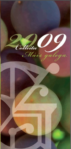 Tr&iacute;ptico que o Foro Peinador est&aacute; a enviar &aacute;s empresas