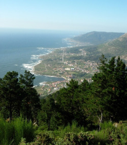 O coidado dos montes e os incendios sit&uacute;anse no primeiro lugar entre as preocupaci&oacute;ns ambientais dos galegos