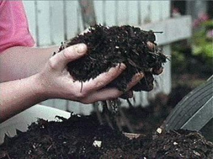 A compostaxe reproduce, nunhas circunstancias particulares e controladas, o proceso natural para a xesti&oacute;n de materia org&aacute;nica en descomposici&oacute;n