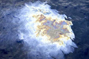 Imaxe do fuel, d&iacute;as despois do afundimento