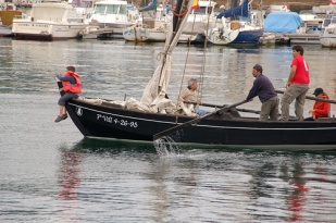 Coa matr&iacute;cula 'Vill' / Flickr: xoanporto