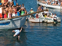 Unha cuca&ntilde;a mar&iacute;tima / Flickr: xaimex