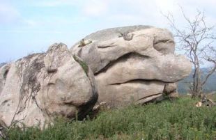 O coello e m&aacute;is o paxaro, &aacute;mbalas d&uacute;as imaxes aparecen no calendario do Seminario de Estudos Comarcais da Costa da Morte