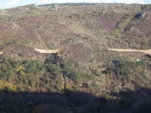 Montaxe fotogr&aacute;fica, onde se pode ver o resultado de inclu&iacute;r pasos e viadutos / Imaxe: Matar por matar, Non (clique para ampliar)