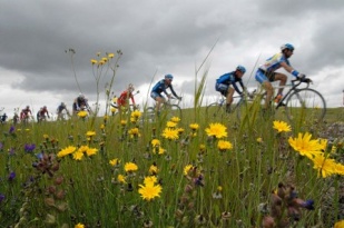 A primavera tam&eacute;n chegou ao Alentexo (na Volta)