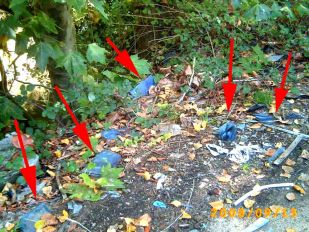 Radiograf&iacute;as no Lagares / Foto: Adega (clique para ampliar)