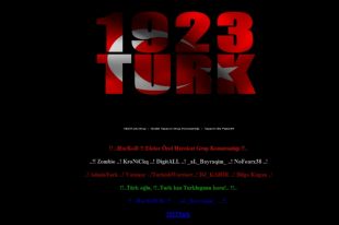 Web do Consello da Xuventude, este domingo pola ma&ntilde;&aacute; (clique para ampliar)