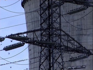 Fotograma de 'Terra Negra', de Ricardo &Iacute;scar