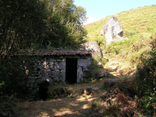 Un mu&iacute;&ntilde;o no Xur&eacute;s. Flickr: Free Cat