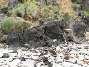 Imaxe do dep&oacute;sito de Arealonga (clique para ampliar) / Imaxe: Adega