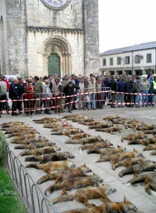 Imaxe dun dos campionatos, en Portomar&iacute;n / Fotograf&iacute;a: Federaci&oacute;n Ecoloxista Galega