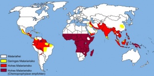 Distribuci&oacute;n dos distintos tipos de malaria polo mundo