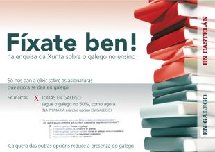 Informaci&oacute;n sobre a enquisa (clique para ampliar)