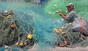 Redeiro, en Pucusana, no Per&uacute; / Flickr: pericote