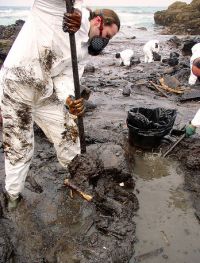A marea negra do Prestige chegou mesmo a Cantabria / Na imaxe, do Flickr de tabernilla, sacando chapapote na praia c&aacute;ntabra de Higuero