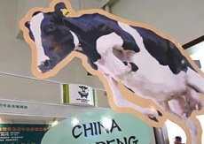 Imaxe dun supermercado chin&eacute;s