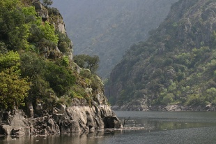 Can&oacute;ns do Sil