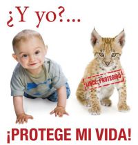 Campa&ntilde;a elaborada pola CEE contra a reforma da Lei do Aborto