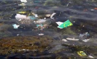 O lixo emporcalla o mar malia non v&eacute;rmolo